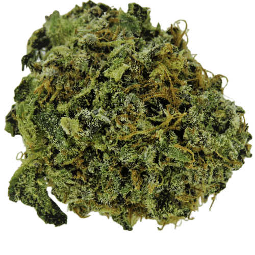 blackberry glue haze