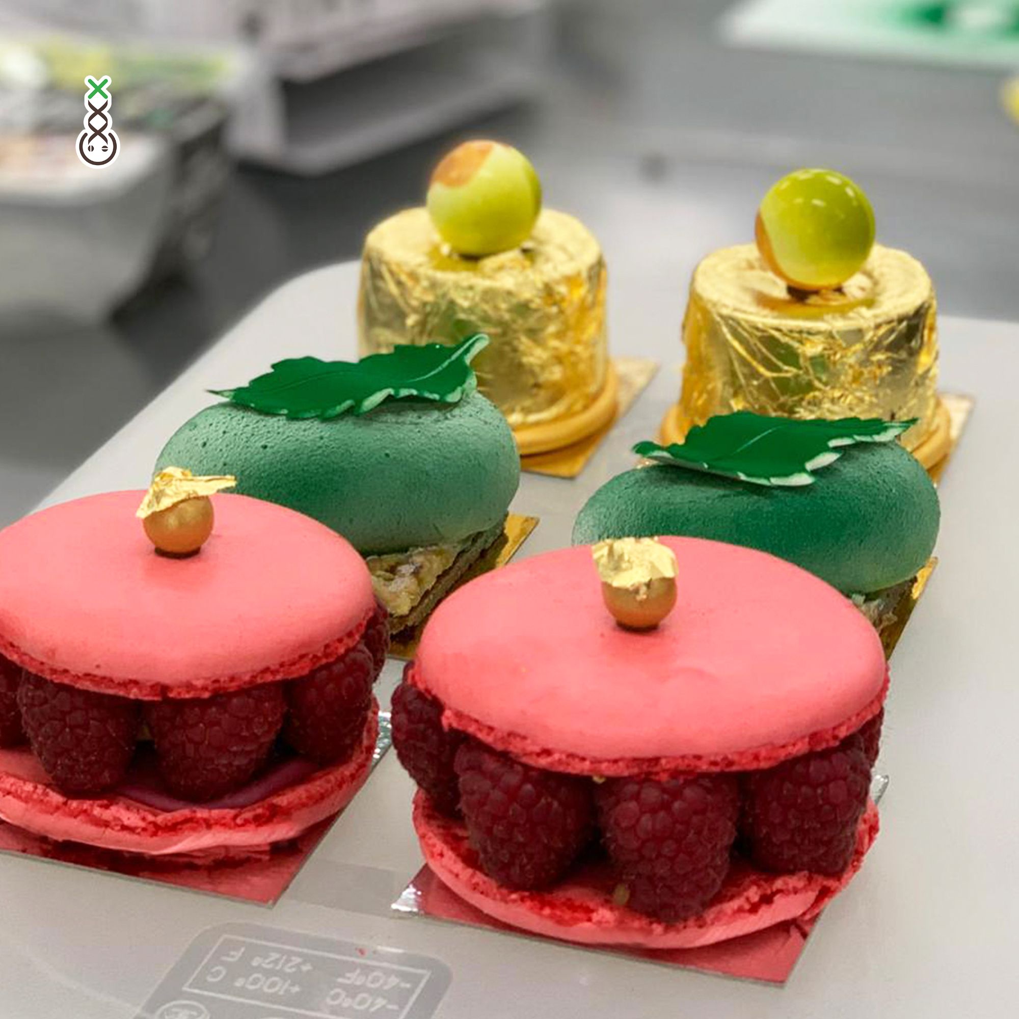 Color Edition Spacecake