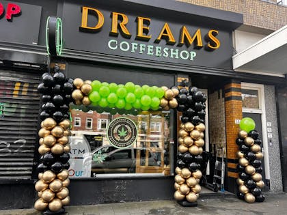 Coffeeshop Dreams  in Rotterdam