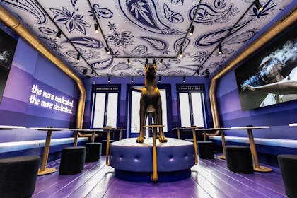 Coffeeshop Tha Dogg House a Snoop Dogg Store in Amsterdam