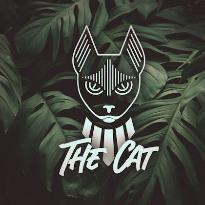 Coffeeshop The Cat in Breda