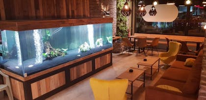 Coffeeshop Amersfoortseplein in Amersfoort