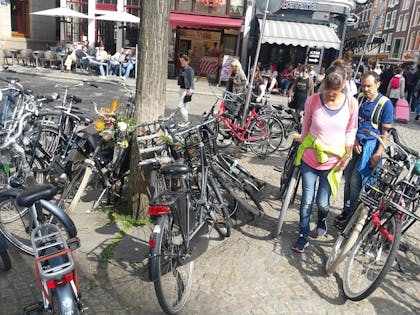 Coffeeshop Bagheera in Amsterdam