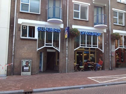 Coffeeshop Bluebird in Amsterdam
