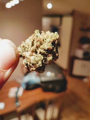 Coffeeshop Crackers in Tilburg