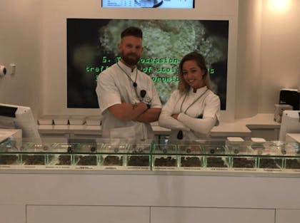 Coffeeshop Doctor Green in Den Haag