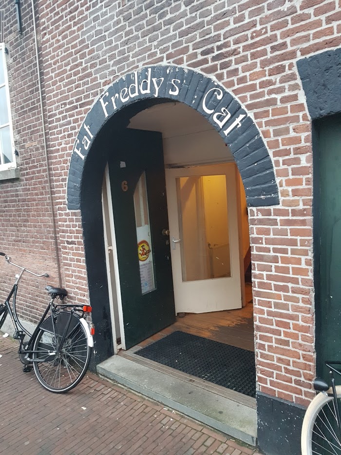 Fat Freddy's Cat