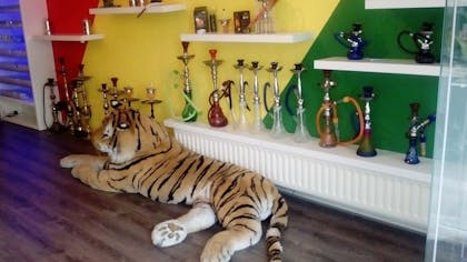 Coffeeshop Flower Power in Leeuwarden