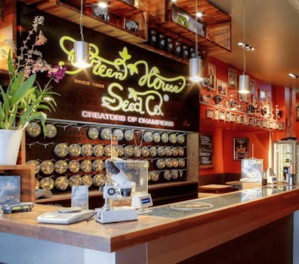 Coffeeshop Green House United in Amsterdam