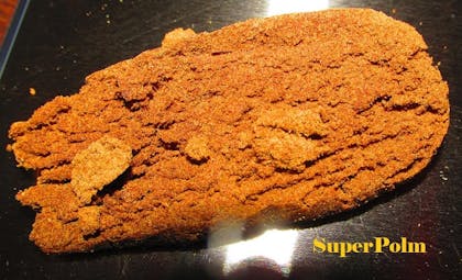 Coffeeshop Pasja in Tilburg