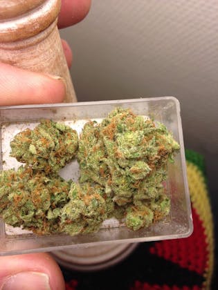 Coffeeshop Sensi Smile in Rotterdam