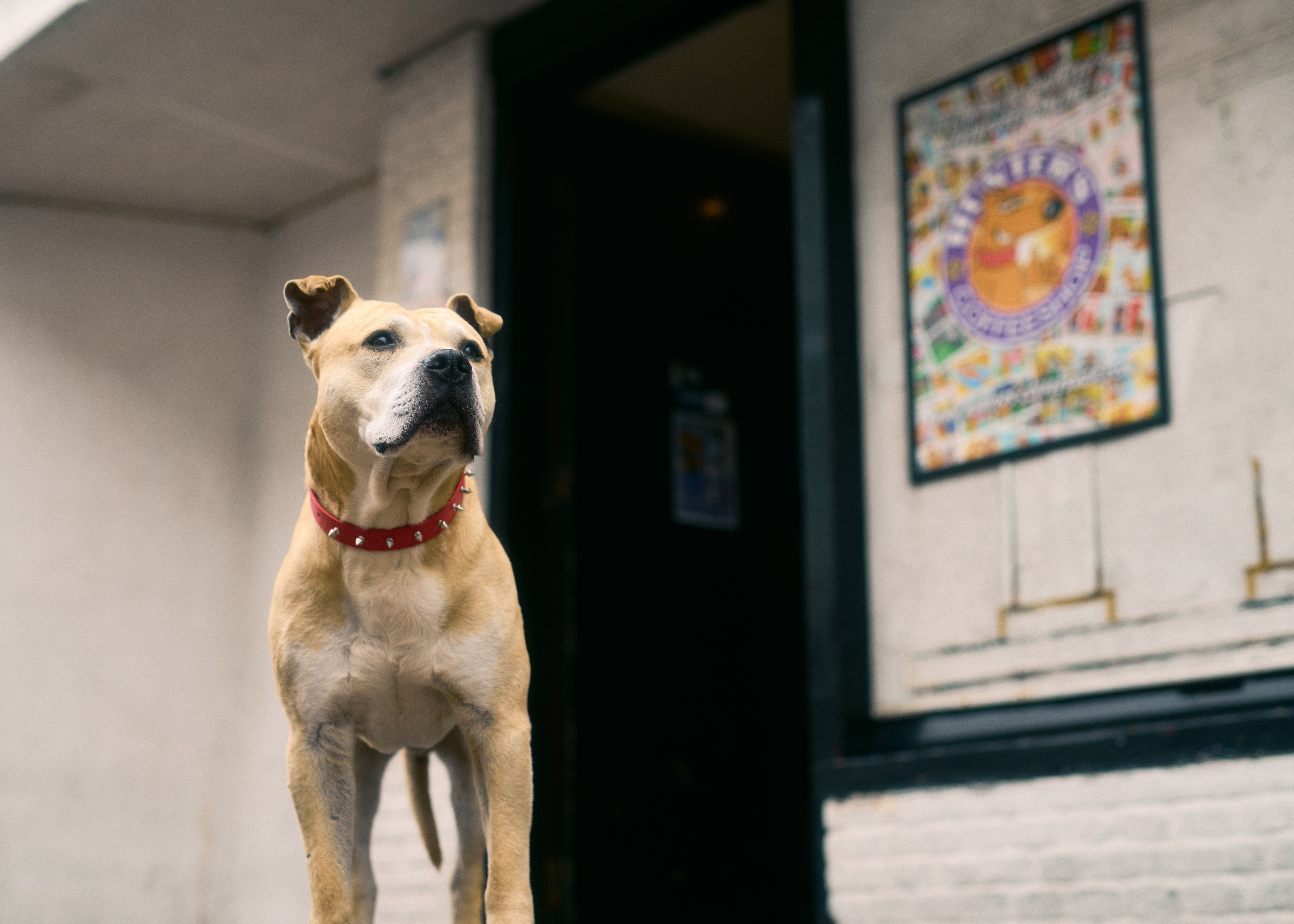 Hunter's Coffeeshop Zandvoort