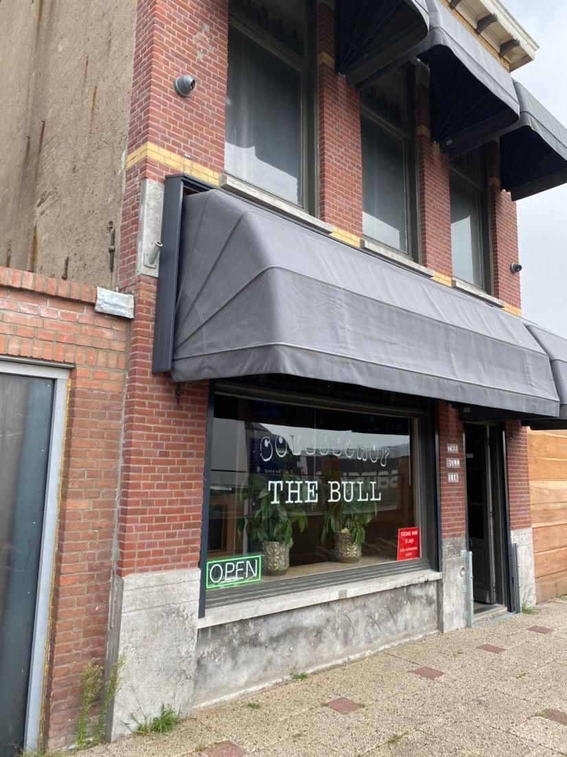 The Bull