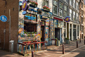 The Bulldog The First