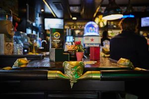 The Bulldog The First