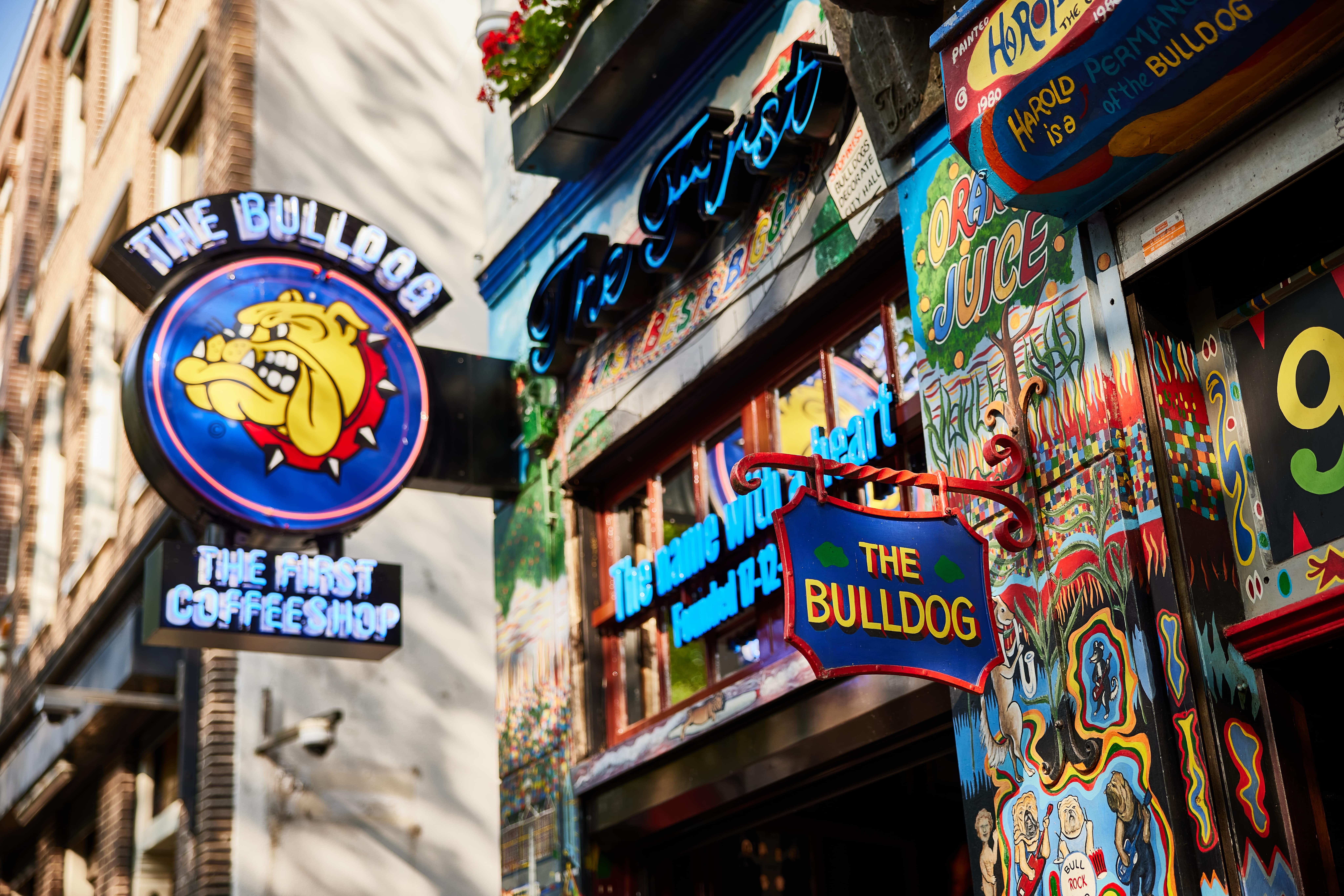 The Bulldog The First