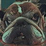 bingbong