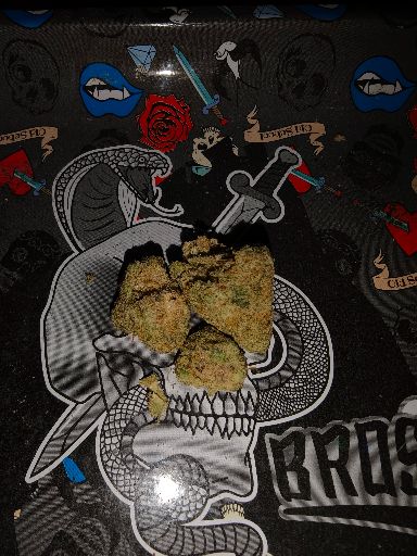 gorillaglue79