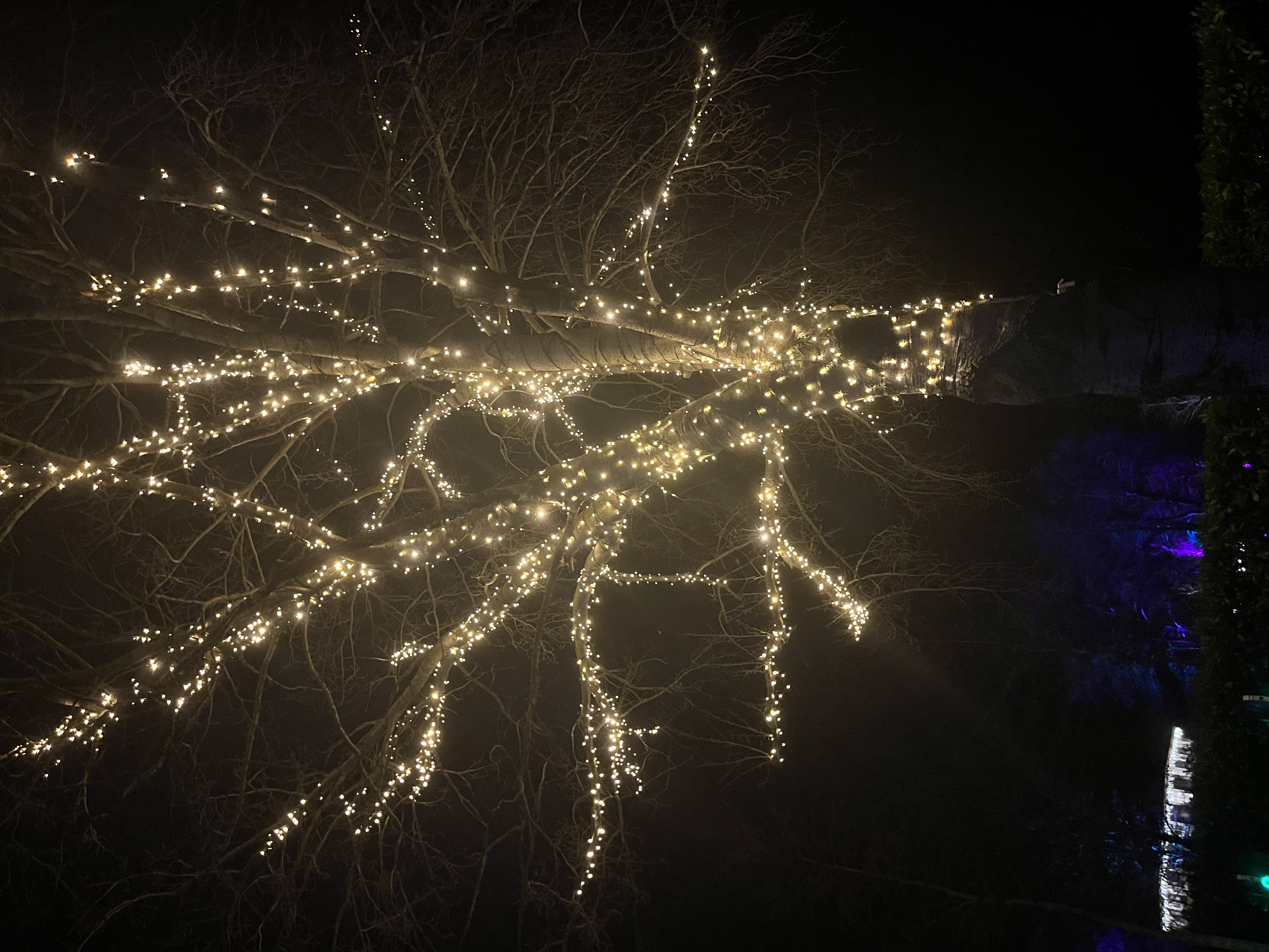 healingwitchofthenorth