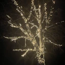 healingwitchofthenorth