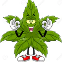 mellow dentistt
