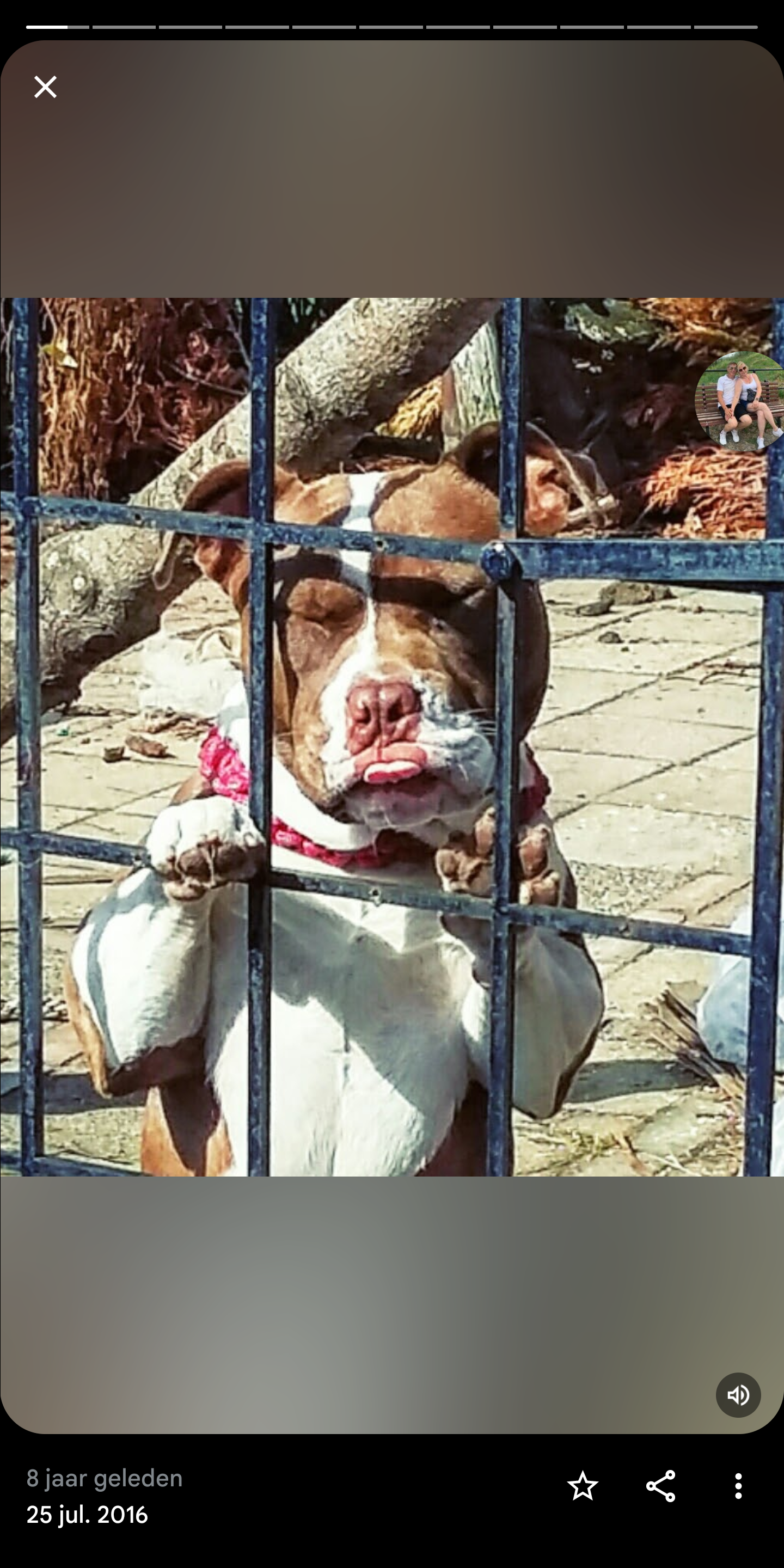 romantic highness oh oh loezznoezzzz